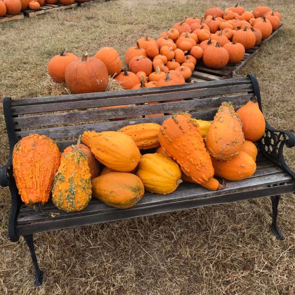 stack of pumpkins